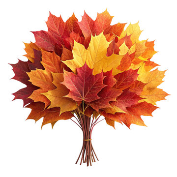 Autumn maple leaves bouquet isolated on transparent background