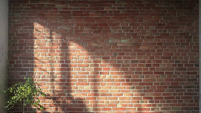 Sunlight illuminating empty room with exposed brick wall