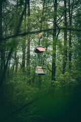 abandoned amusement park