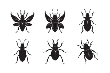 silhouette beetle set.