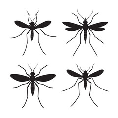 silhouette mosquito biting with proboscis extended