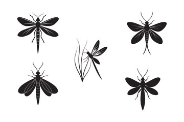 silhouette various mayfly set bundle on the white background
