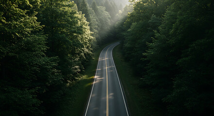 Winding Road Through Lush Green Forest Aerial View.