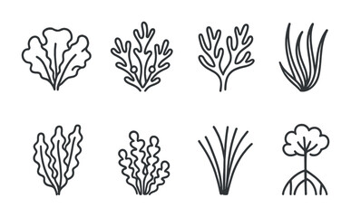Shoreline Plant Icons. Outline icon set of shoreline plants and seaweed: sea lettuce, bladderwrack, red algae,