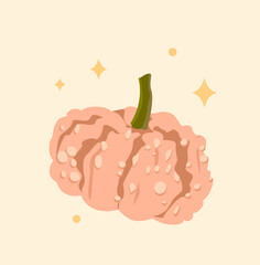 Cute illustration of a pink decorative pumpkin on a light background with stars. Great for autumn design, print, poster, greeting card.