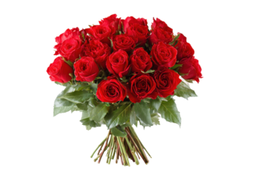 Beautiful red roses bouquet floral arrangement studio bright light. Isolated on transparent background, png.