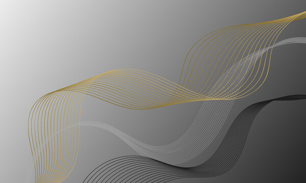 abstract black gray silver and gold business lines wave curve on soft gradient background
