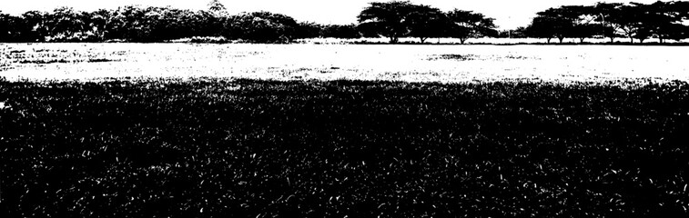black and white grassland meadow silhouette background