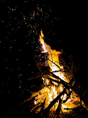 Campfire in the woods