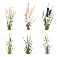 Simple flat 2D colorful cattail plant by the pond being set illustration, vector clipart isolated on a transparent background — clean animation-style design, created by me, EPS format design