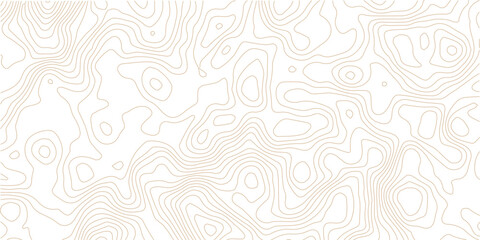 Abstract topographic contours map background. geographical map shades. Sea map area space geometric strip grid line topo map