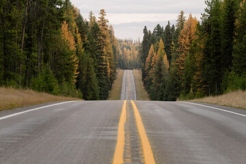 Fototapeta premium Montana road