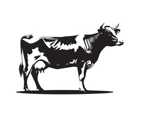 The cow vector image for print