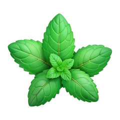 3d fresh mint leaves isolated on transparent background