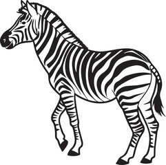 Fototapeta premium The image features a zebra positioned centrally, highlighting its unique striped pattern against a neutral background, Zebra vector style silhouette image