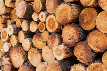Detalle de una pila de troncos de madera