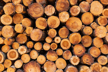 Pila de troncos de madera vista de frente, textura