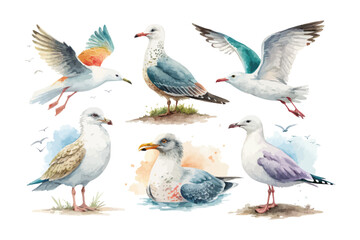 set of watercolor seagull vector illustration isolated on white background