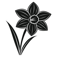 Obraz premium Black silhouette of a narcissus flower with leaves on white background daffodil floral
