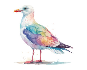 watercolor seagull vector illustration isolated on white background