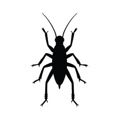 silhouette of a black beetle