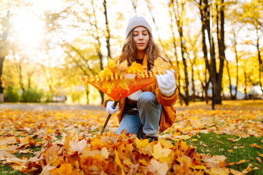 A young woman in a bright jacket and gloves collects bright autumn leaves in a sunny park. A female volunteer collects fallen leaves with a rake. The concept of ecology, cleaning.