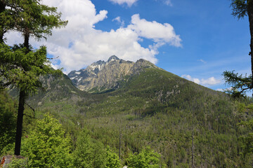 View of Lomnica Peak. Walking trail Hrebienok, Stary Smokovec, High Tatras mountains. Slovakia
