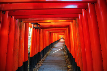 Red Torii gate archway of Fushimi Inari Taisha shrine with people, Kyoto