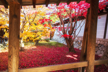 Red and yellow fall maple leaves by Tofukuki temple corridor, Kyoto