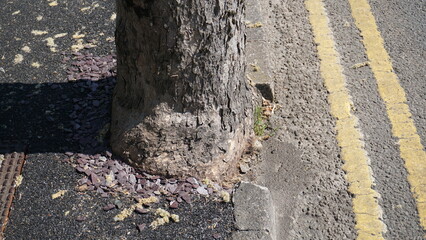 asphalt road texture
