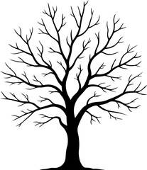 Obraz premium silhouette vector of a bare autumn tree with leafless branches 