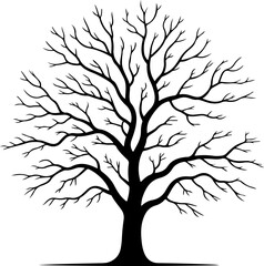 Obraz premium silhouette vector of a bare autumn tree with leafless branches 