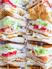 Delicious layered sandwich served on a patterned plate with fresh vegetables and crispy bread for a lunchtime meal