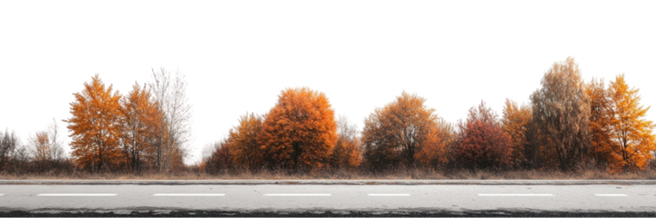 PNG Real asphalt road autumn trees scenery.