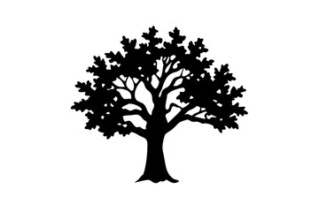 Ancient Hornbeam Tree Silhouette ancient tree nature