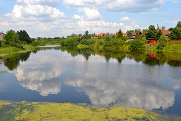 quiet summer pond in the village