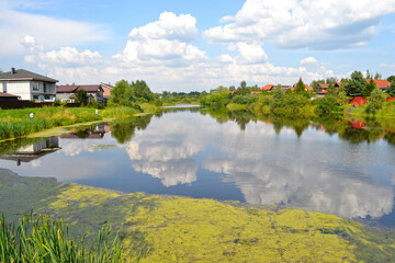 Obraz premium quiet summer pond in the village