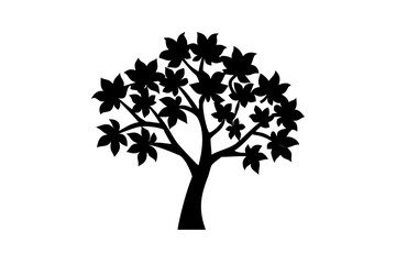 Obraz premium Blooming Teak Tree Silhouette nature