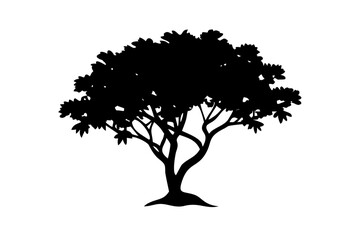Fototapeta premium Blue mangrove tree silhouette on white background nature