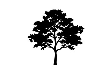 Blue Maple Tree Silhouette on White Background nature