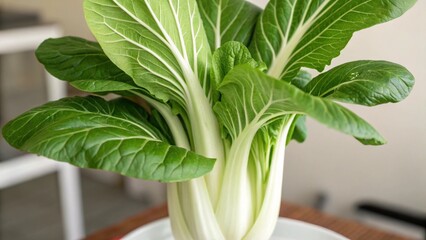 Pak Choy (Bok Choy) in Natural Habitat