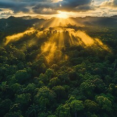 Majestic sunrise over a lush forest landscape.