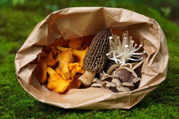 A Variety of Freshly Picked Mushrooms in Brown Paper Bag on Mossy Ground