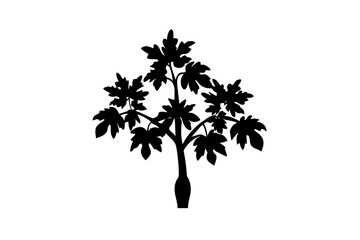 Blooming Papaya Tree Silhouette flowering tropical