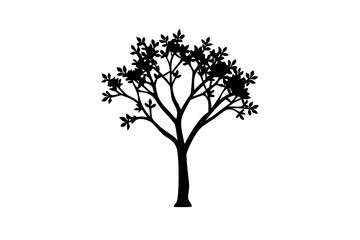 Fototapeta premium Blue Dogwood Tree Silhouette nature plant