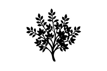 Silhouette of a blooming laurel tree on a white background