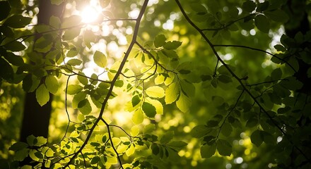 Obraz premium Vector illustration of whimsical handdrawn doodle pattern of space elements including rockets, planets, moons, stars, and ufos, perfect for childrens decor and wallpaper