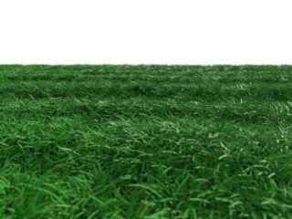 青空と草原の風景