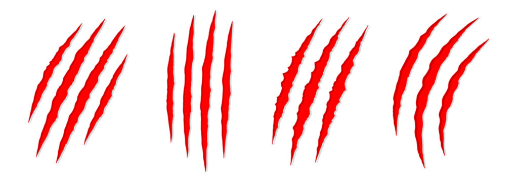Illustration of four sets of red claw marks on a light surface view on transparent background