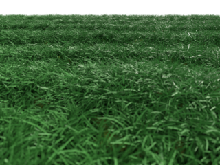 青空と草原の風景